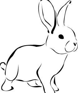 rabbit-161467_1280